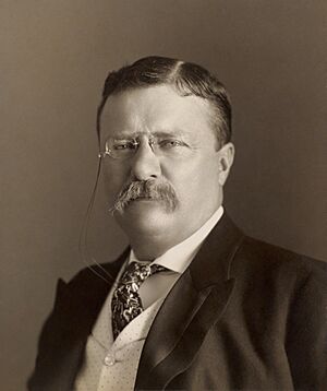 Theodore Roosevelt by the Pach Bros