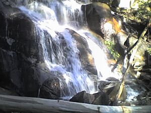 Toorongo Falls