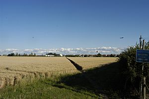 Top grade farm land between Harmondsworth, Middlesex, and Heathrow airport, July 2015