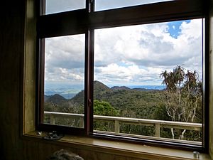 View from Pahautea Hut