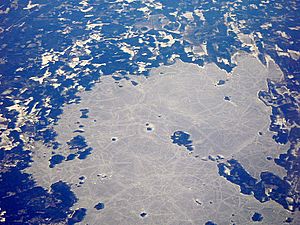Viinijärvi from air