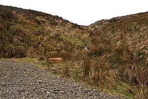 Water course - geograph.org.uk - 727152