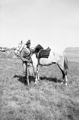 Yeomanry South Africa