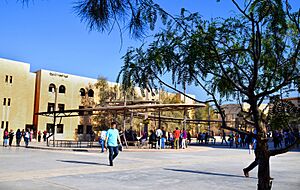 الجامعة الهاشمية 3