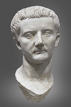 ミドルエイジ Tiberius 英語 1枚 middle ages 希少 Tiberius Facts for Kids