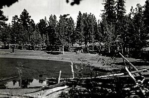 1924. Deer at Greenland Lake. Grand Canyon National Park Kaibab National Forest. Arizona. (38166133266)