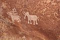 2 elephants man riding one pre historic Bhimbetka rock cave paintings Madhya Pradesh India