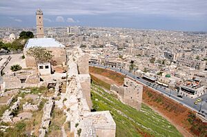 Ancient Aleppo from Citadel