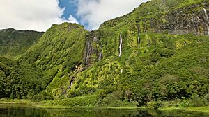 Azores flores ribeira grande