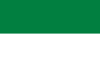 Flag of Yacuiba