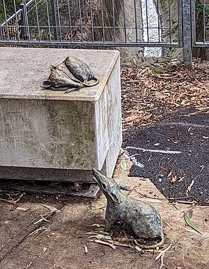 Bandicoots by Ochre Lawson at Waratah Mills station