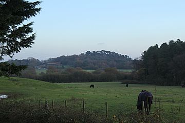 Beacon Hill Dorset from the NNW.JPG