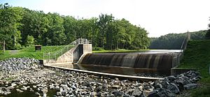Black Moshannon SP Dam