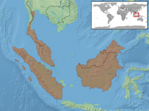 Boiga nigriceps distribution.png