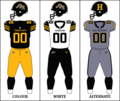 CFL HAM Jersey