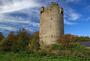 Castles of Munster, Ballynahow, Tipperary - geograph.org.uk - 1542667