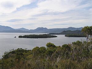 CeleryTopIslands SW Tas