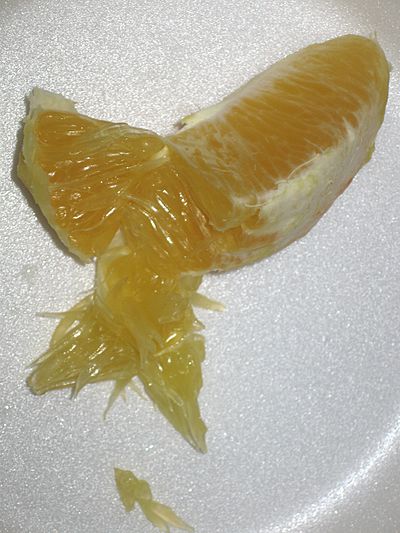 Citrus pulp1