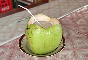 Coconut Drink, Pangandaran