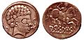 Coins of Arsaos in Navarre Spain 150BCE 100BCE Roman stylistic influence
