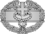 Combat Medical Badge, 1st award.svg