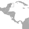 Cozumel Raccoon area