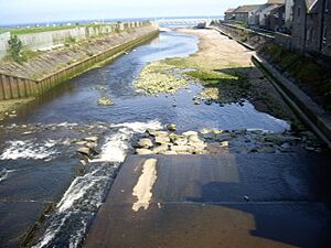 Downstream Cowie Water - geograph.org.uk - 1379466