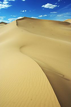 Dunes in Gobi Gurvansaikhan National Park