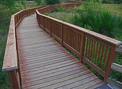 Boardwalk crossing sensitive wetland area containing native plants, trees and grasses.