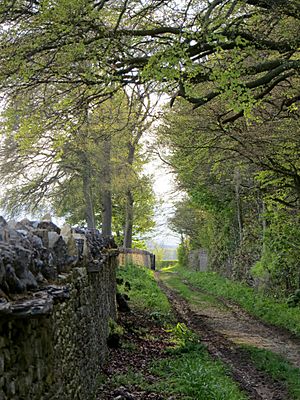 End of Sarsgrove Wood - May 2012 - panoramio.jpg