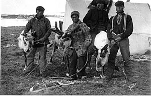 Eskimo men with reindeer, Cape Prince of Wales, ca 1905 (NOWELL 255)