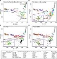 Eurasian genetic PCA centered on Central Asians
