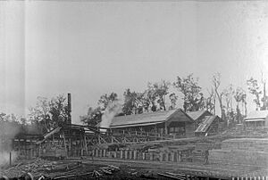 Exterior of Wellington Mill, ca.1900