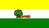 Flag of Caimito