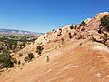 Ghost Ranch Coelophysis Quarry