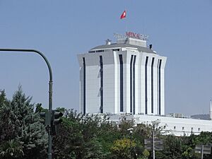 Hospital in Gaziantep 2008