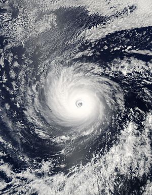 Hurricane daniel 2006
