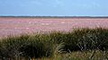 Hutt Lagoon, Western Australia