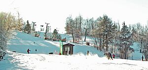 Indianhead-mountain-Nastar-run
