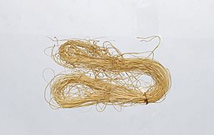 Ivalu or tendon thread from Danish National Museum