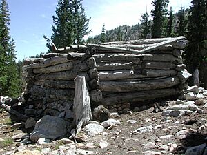 Johnson Lake Mine Cabin 2 NV NPS