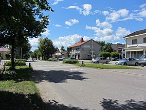 Joutsan keskustaa - Jousitie C IMG 3350.JPG