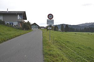 Kanton Bern - Wachseldorn Ortstafel