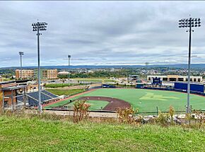 Kendrickfamilyballpark.jpg