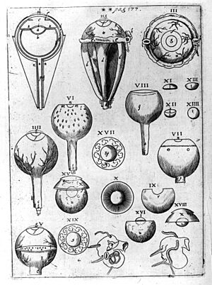 Kepler Optica
