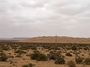 Khenifiss typical landscape