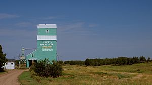 Kirriemuir Alberta Grain Elevator (9627306600).jpg