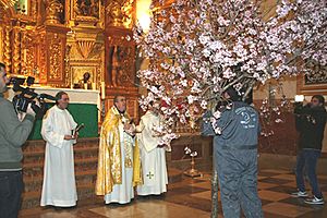 Lentra de la flor