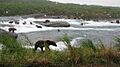 McNeil Falls in July