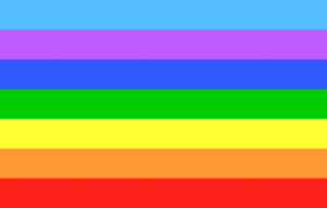 Meher Baba's flag